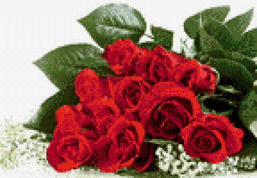 розы - предпросмотр