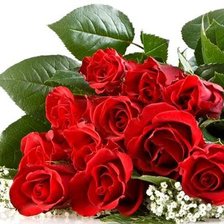 Схема вышивки «розы»