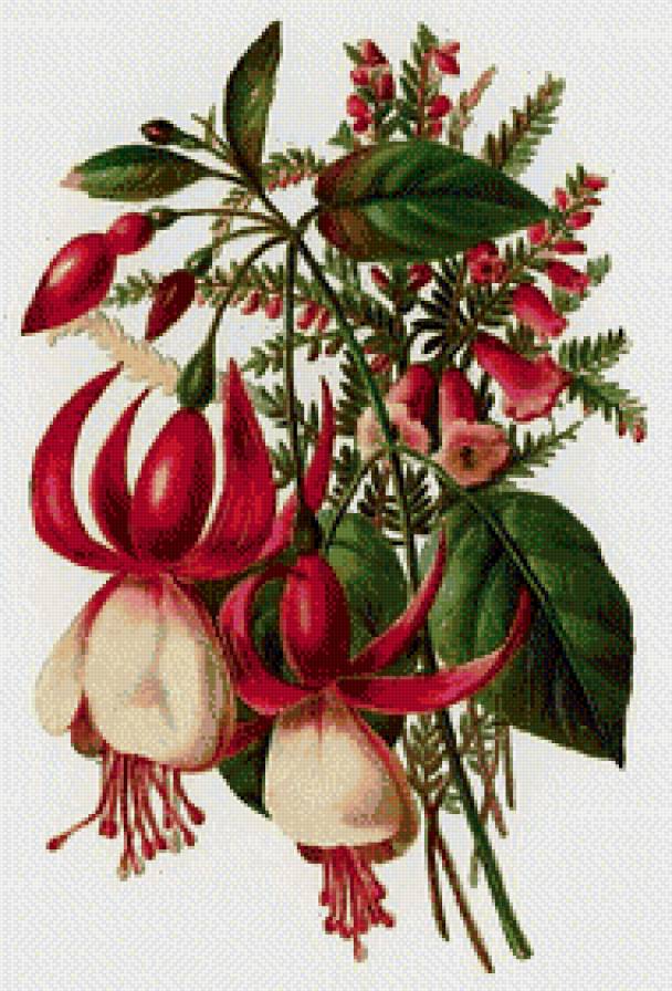 Цветочная композиция - цветы, натюрморт - предпросмотр