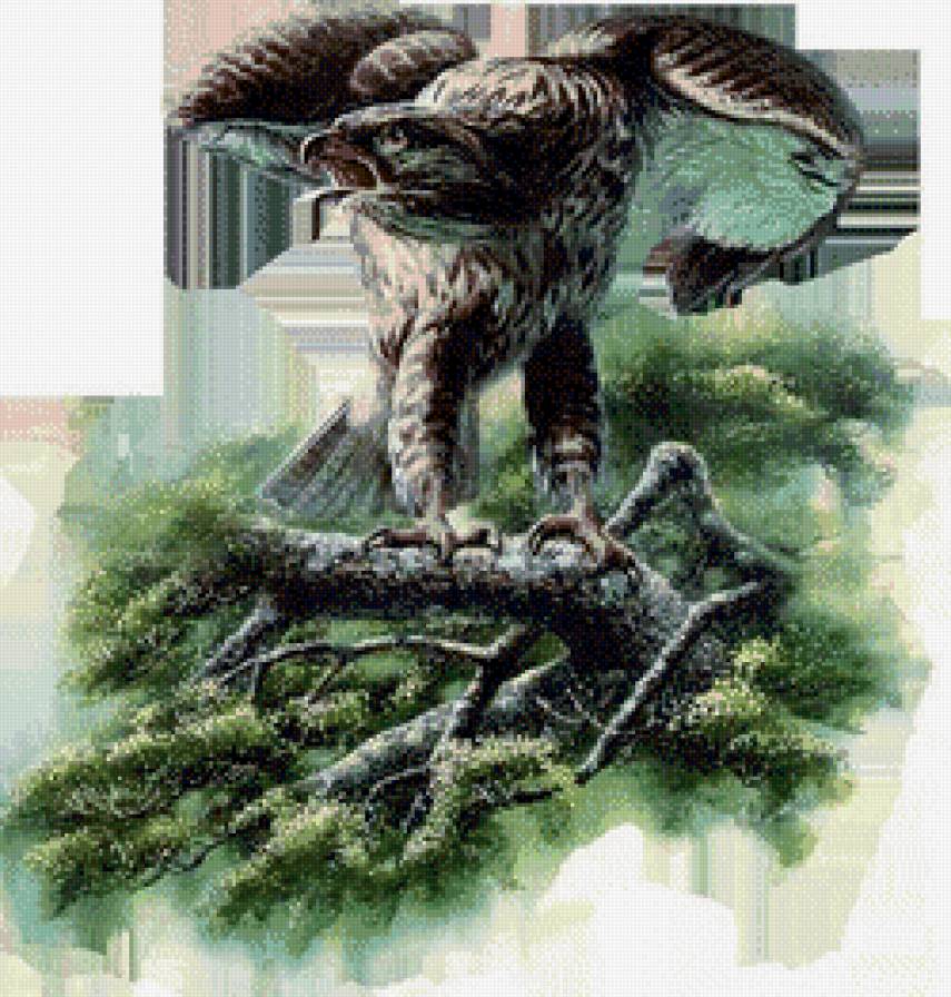 орел - природа, орел, птицы - предпросмотр