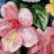 Предпросмотр схемы вышивки «June Flowers in Radiance» (№541971)