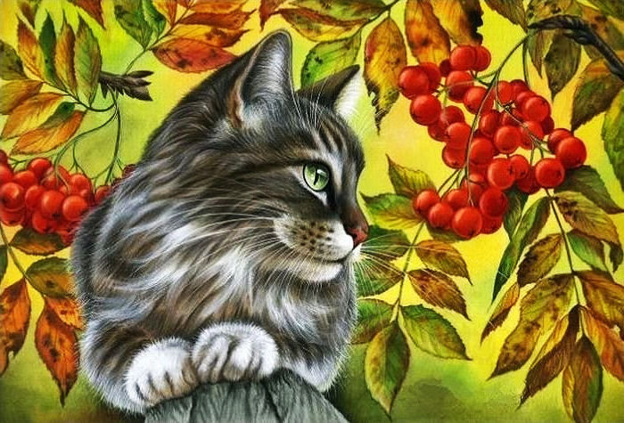 Tekintet - cica - оригинал