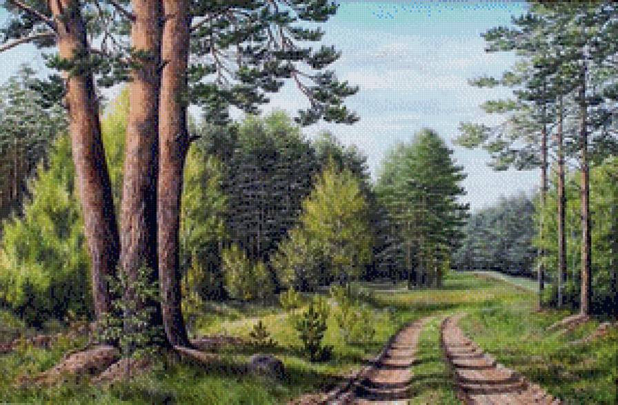 лесная дорога - лето, природа, пейзаж - предпросмотр