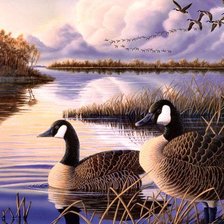 Схема вышивки «утки на озере»