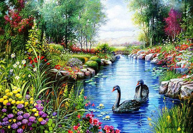 черные лебеди - река, природа, лебеди, цветы, пейзаж - оригинал
