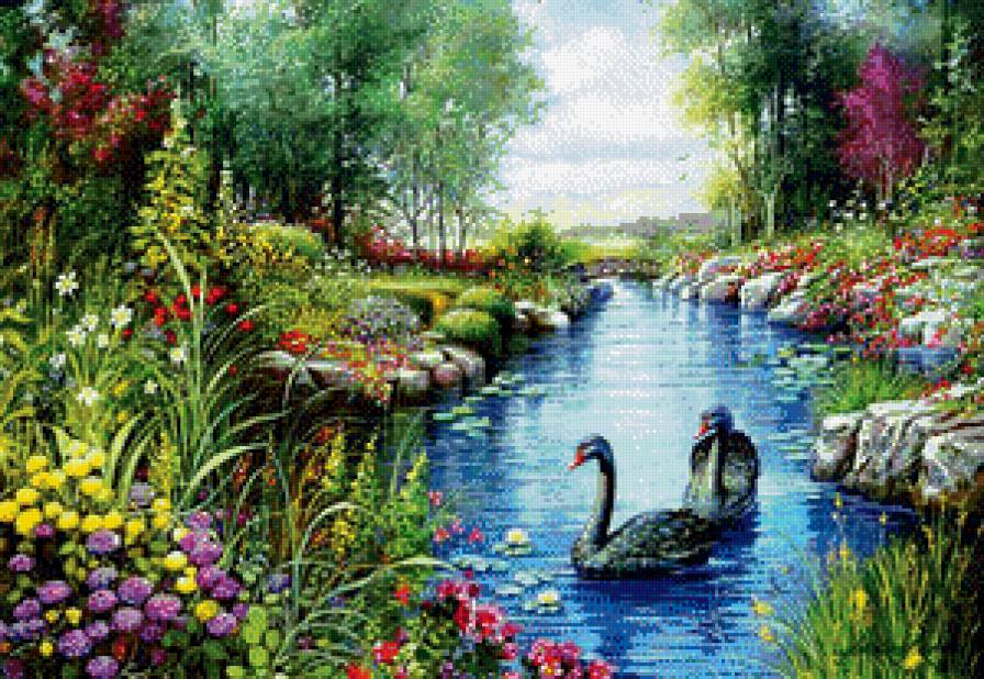 черные лебеди - пейзаж, природа, река, лебеди, цветы - предпросмотр