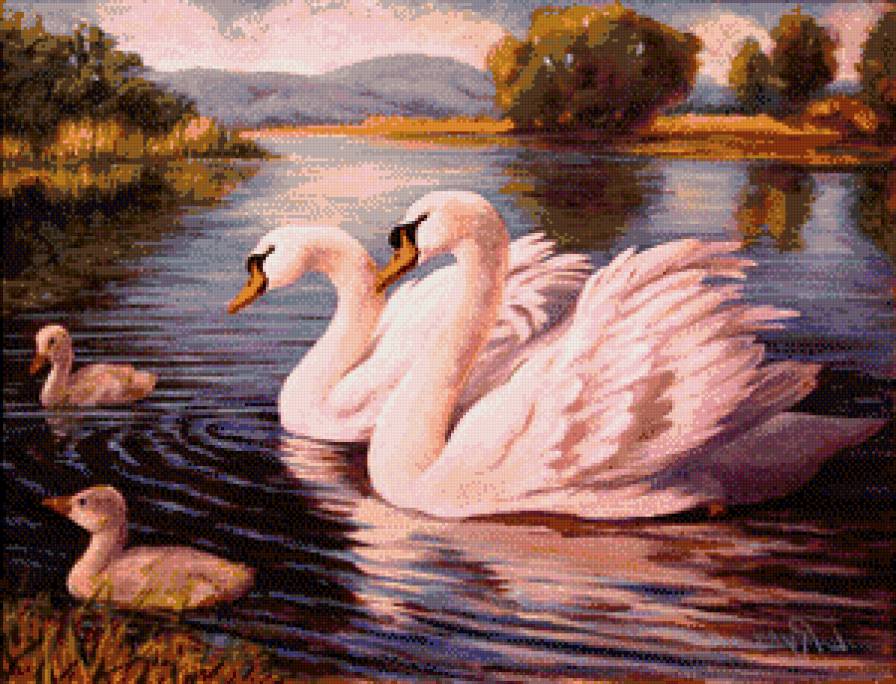 лебединая семья - озеро, пейзаж, природа, лебеди - предпросмотр