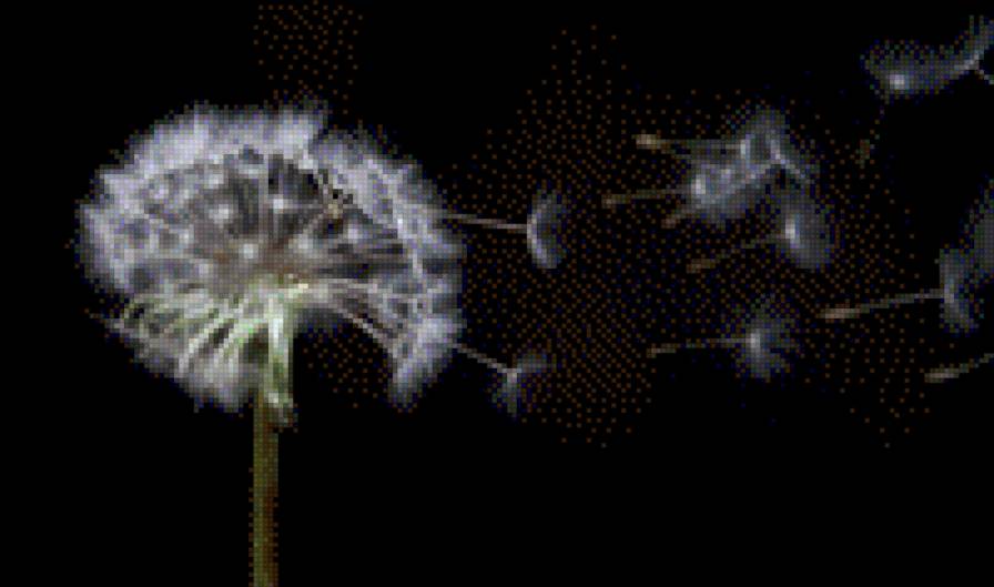 pienes pukas - предпросмотр