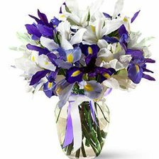 Схема вышивки «№542335»