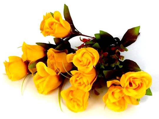 розы - оригинал