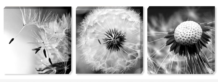 Pienes3 - оригинал