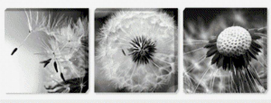 Pienes3 - предпросмотр