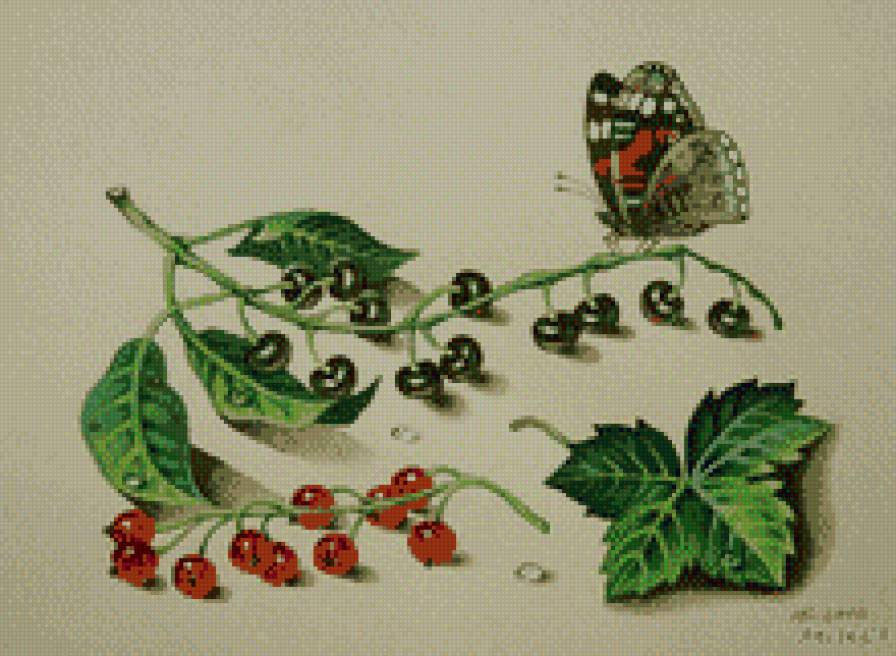 №542423 - предпросмотр