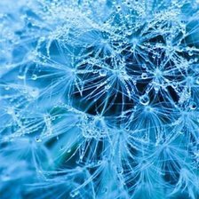 Схема вышивки «№542440»