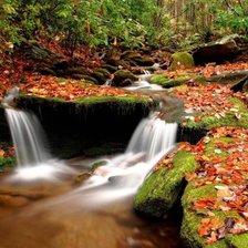 Схема вышивки «Осенний водопад»