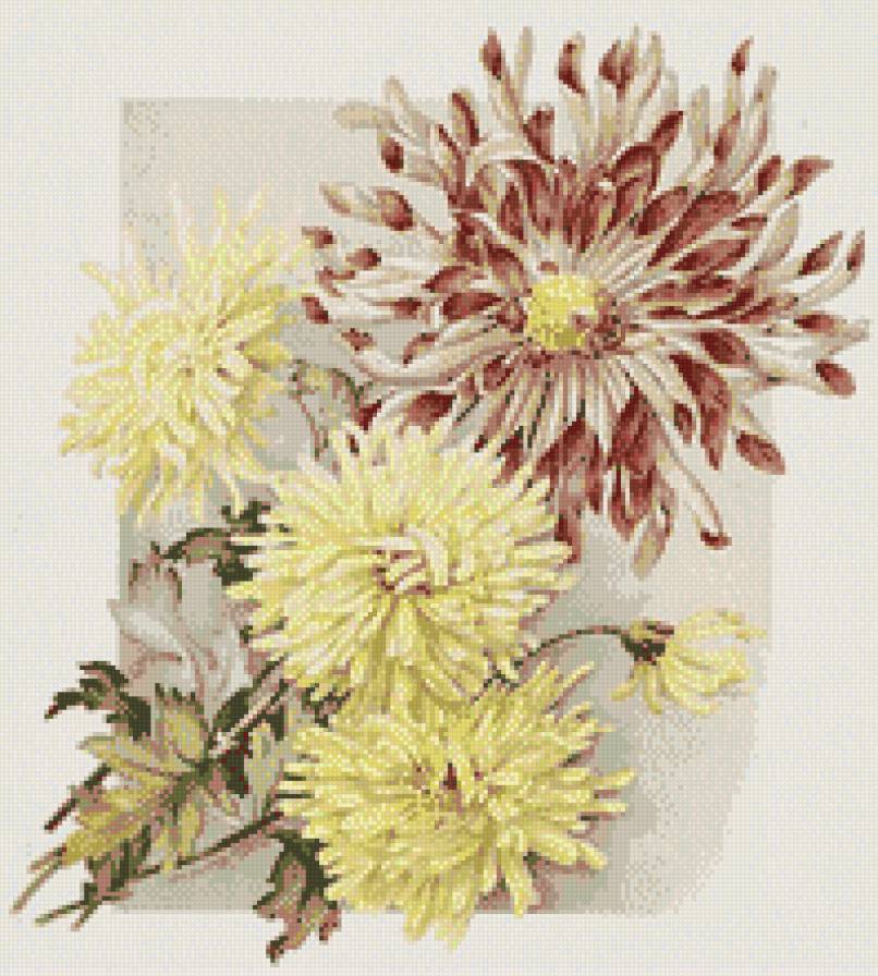 цвети - предпросмотр