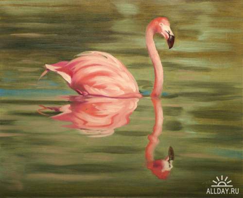 фламинго - птицы фламинго - оригинал