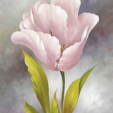 Схема вышивки «Белый тюльпан»