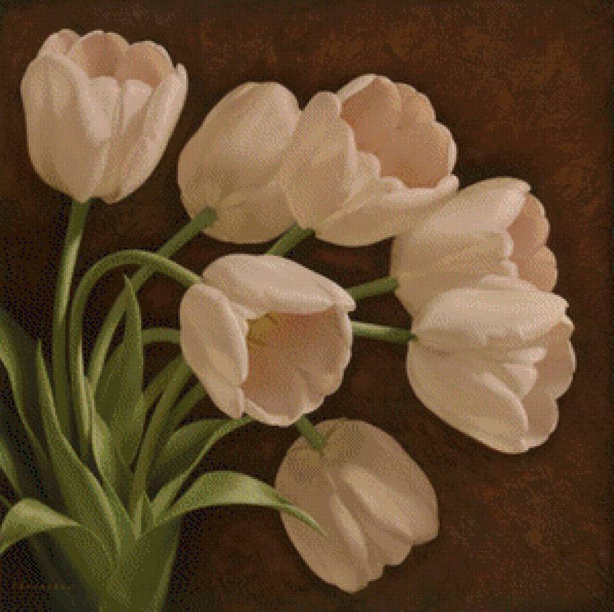 7 белых тюльпанов - цветы - предпросмотр