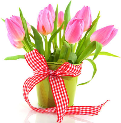 Тюльпаны - цветы весна тюльпаны букет - оригинал