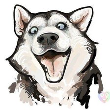 Схема вышивки «Хаска»