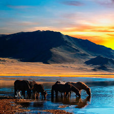 Схема вышивки «№542976»