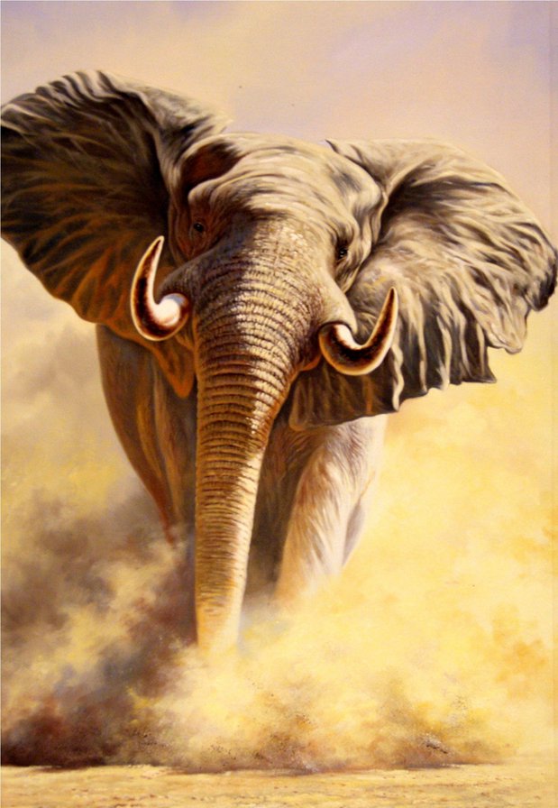 Слон - слон, африка, животные - оригинал