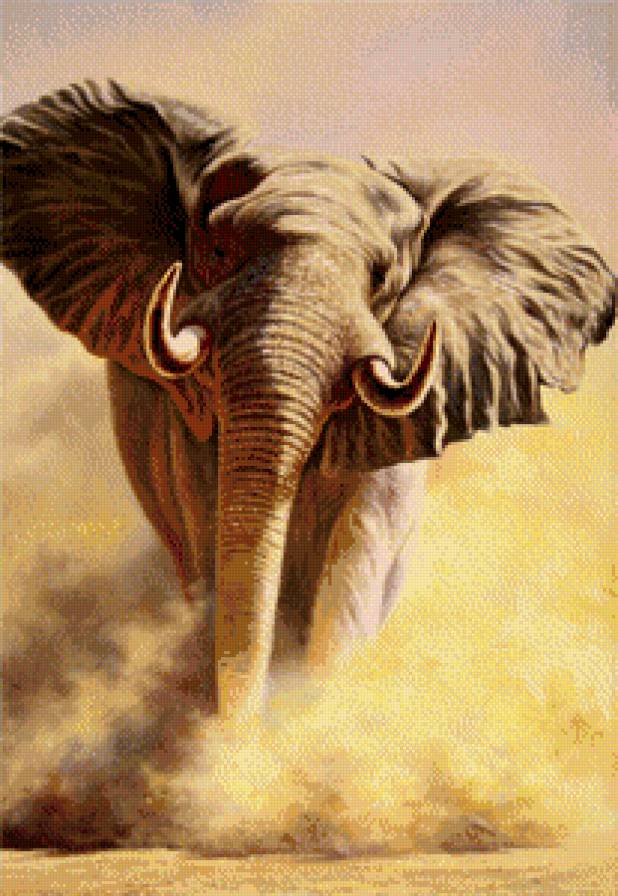 Слон - слон, животные, африка - предпросмотр
