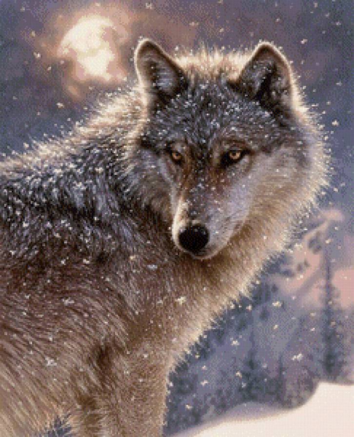 №543109 - животные, волк - предпросмотр