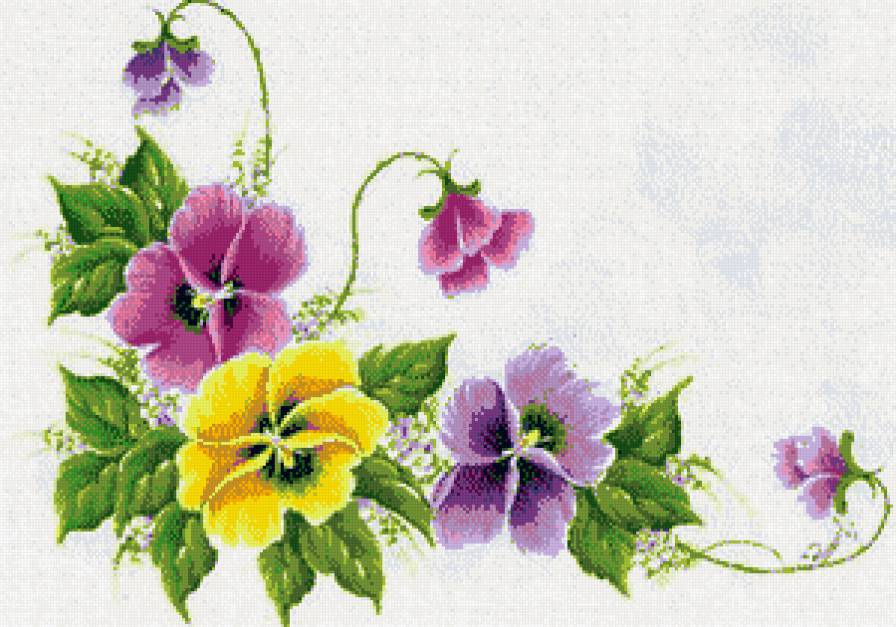 анютины глазки - предпросмотр