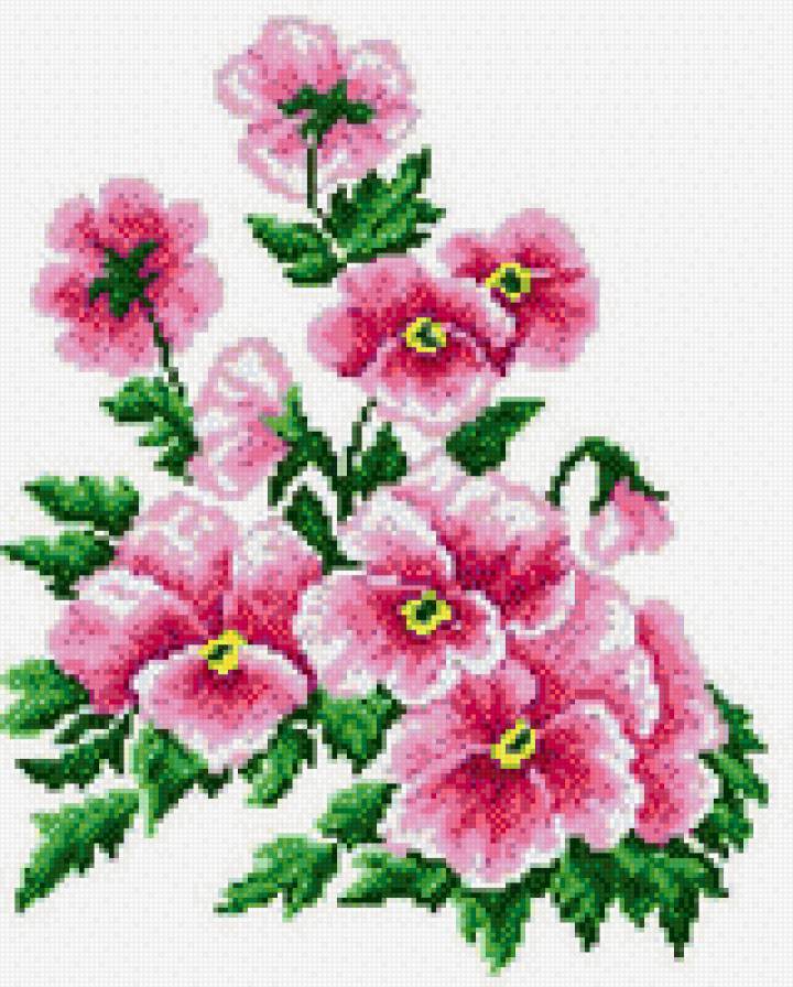 анютины глазки - предпросмотр