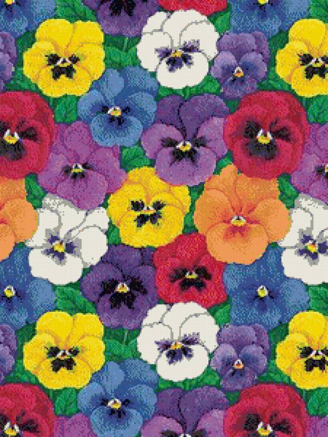 анютины глазки - предпросмотр