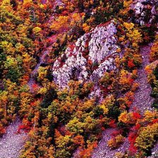 Живописная природа