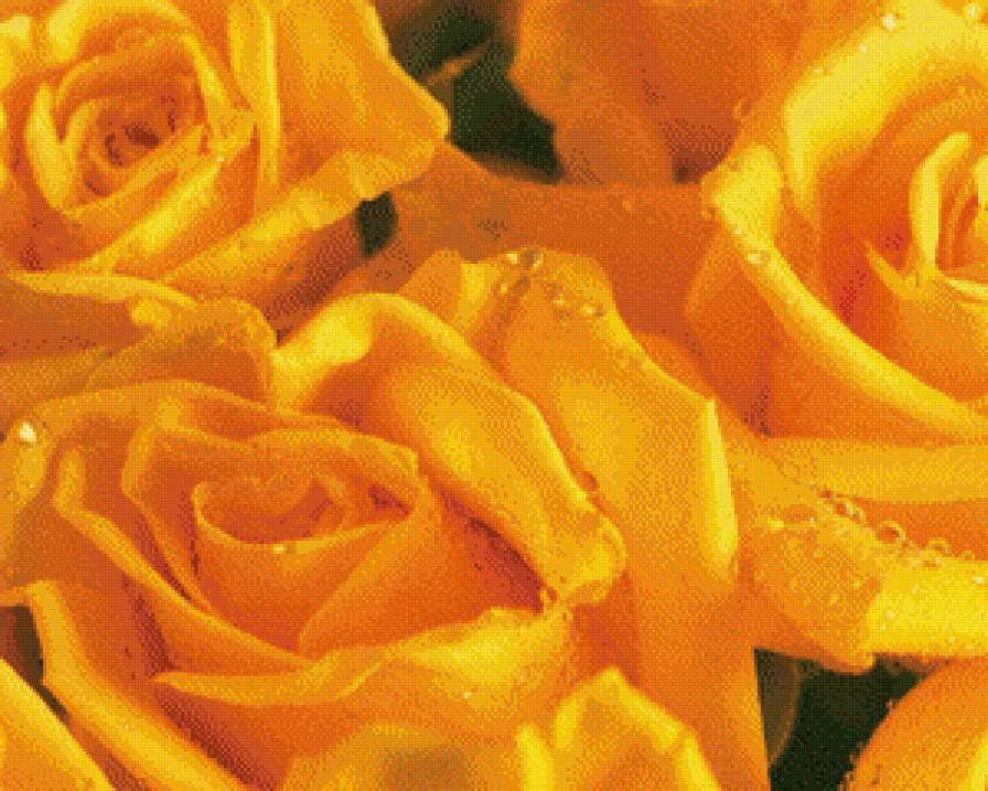 №543283 - цветы - предпросмотр