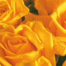 Оригинал схемы вышивки «№543283»