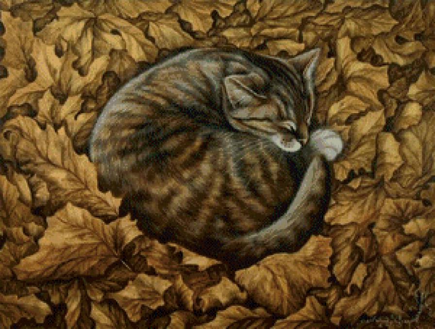 осений кот - животные.кот.осень.листья - предпросмотр
