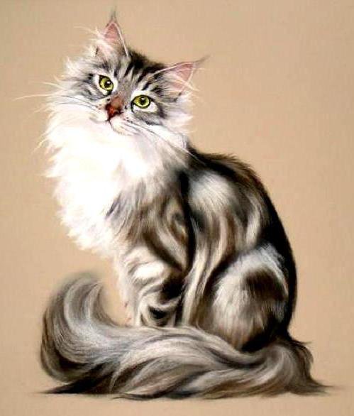 №543751 - животные, кошка - оригинал