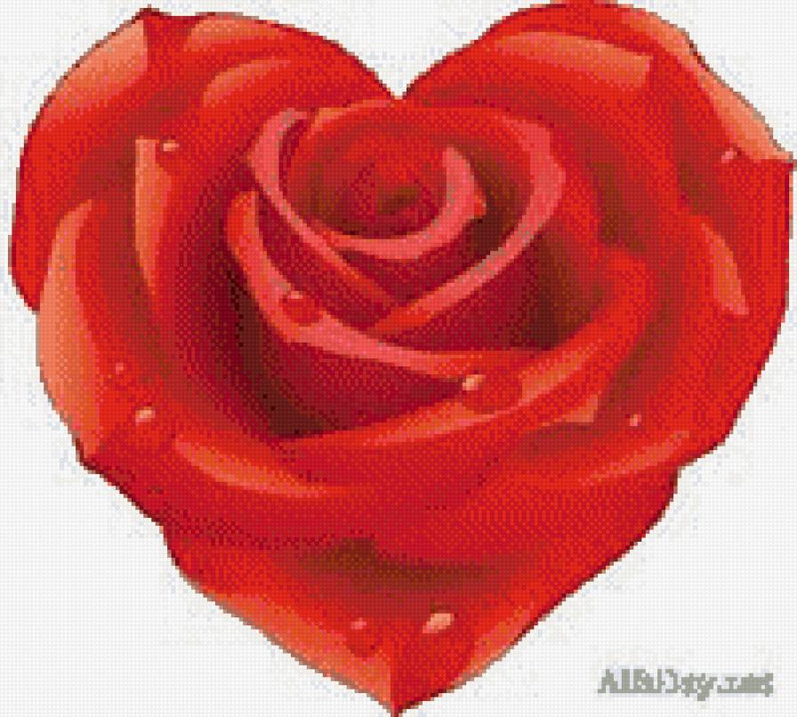 сердце розы - цветы, розы, подушка, сердце - предпросмотр