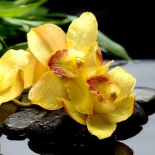 Схема вышивки «1»