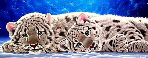 Тигрята - оригинал