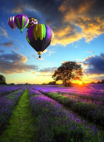 шары - пейзаж, небо, воздушные шары - оригинал