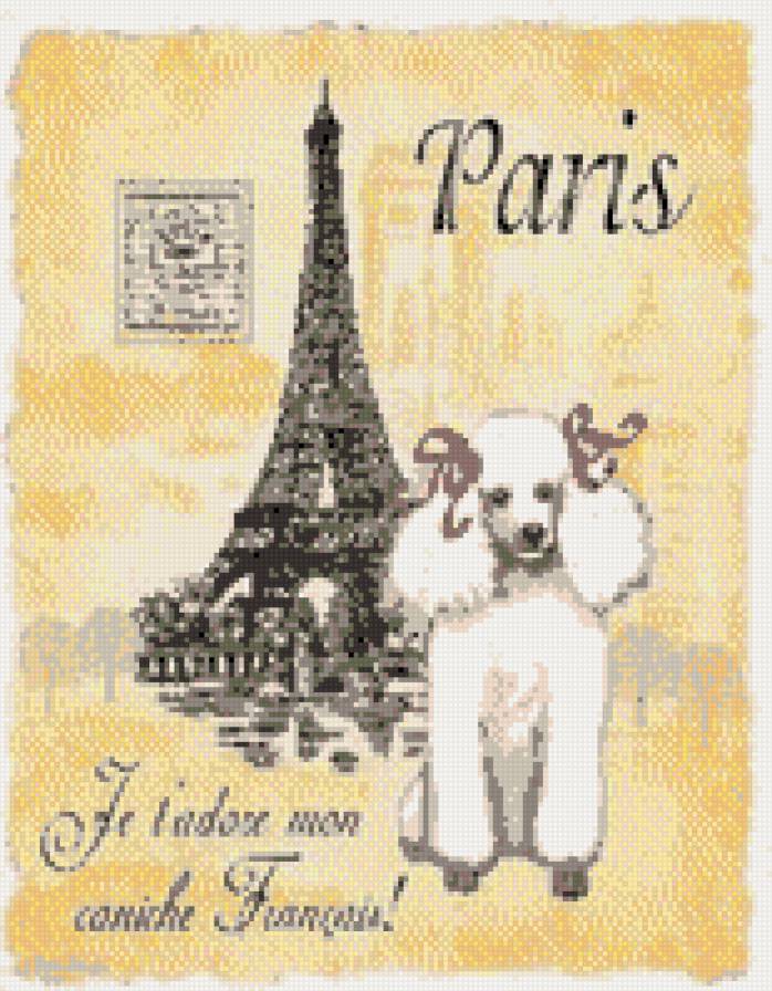ПАРИЖ - пудель, париж, эйфелева башня - предпросмотр
