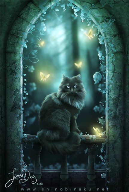 №544320 - оригинал