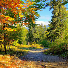 Схема вышивки «Очей очарование . Осень»