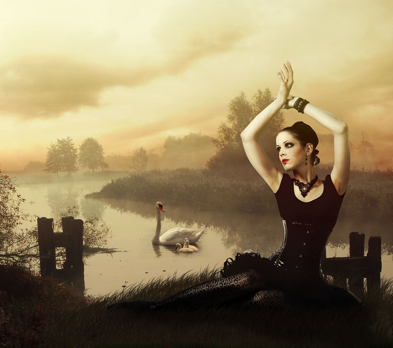 лебединое озеро - балерина, лебедь, девушка - оригинал