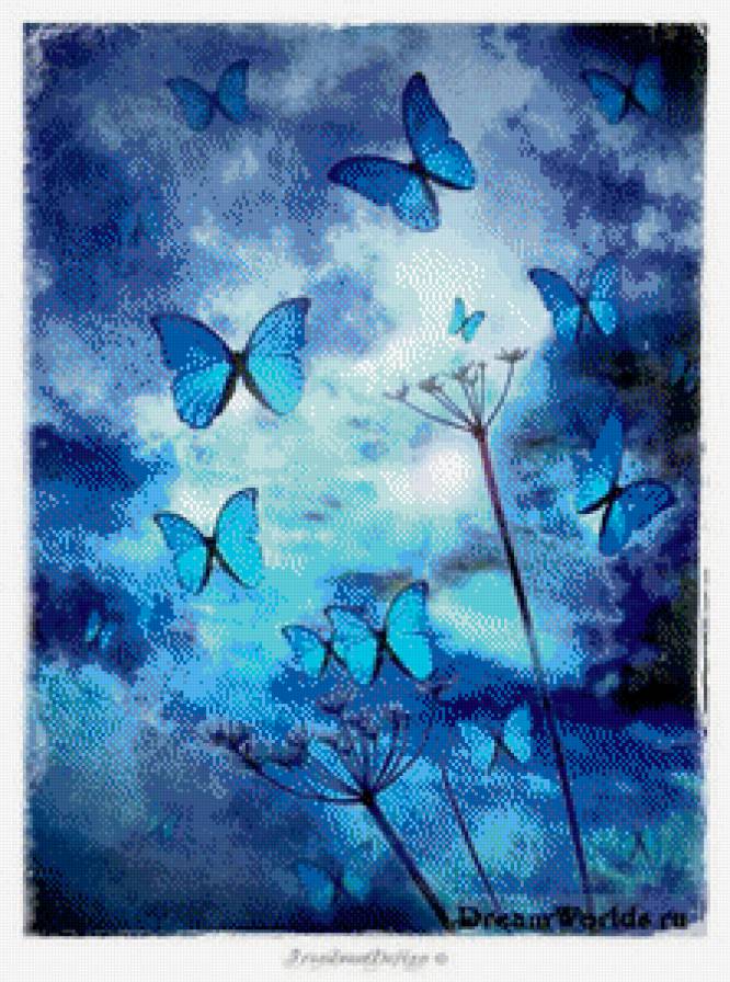 Бабочки - бабочки - предпросмотр