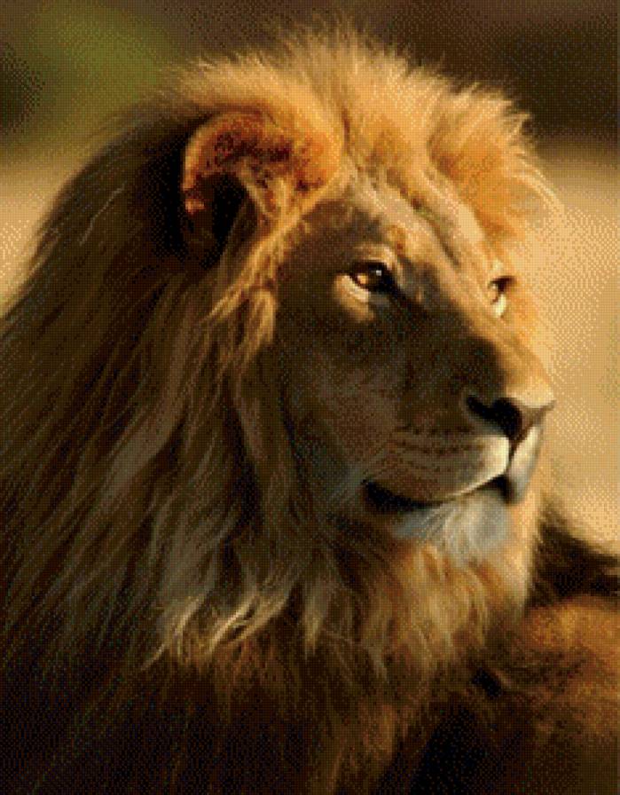 Лев - лев - предпросмотр