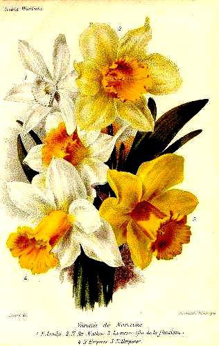 №544670 - оригинал