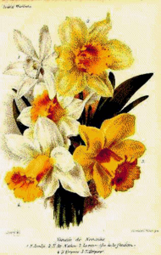 №544670 - предпросмотр