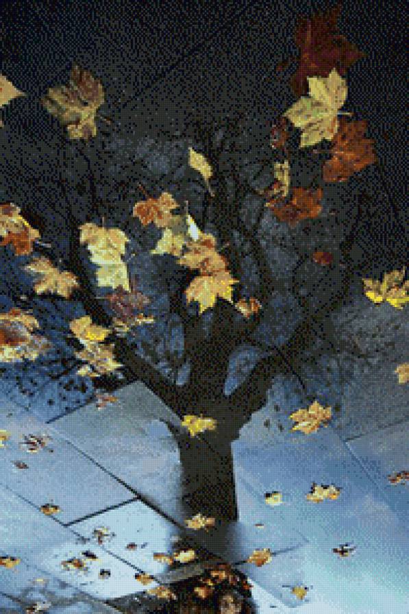 Осеннее дерево - осень, дерево, отражение, листья - предпросмотр